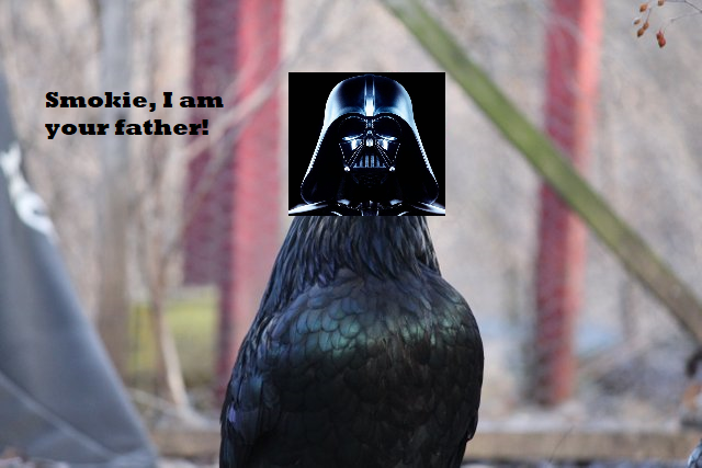 pendockisvader.png