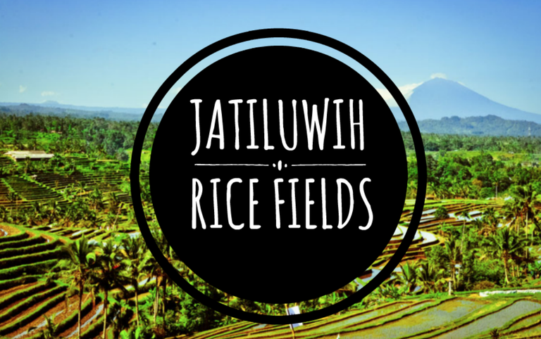 Jatiluwih rice fields bali.png