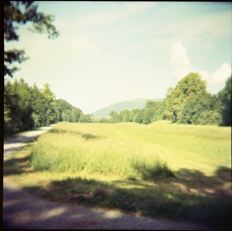 120mmHolga150.jpg