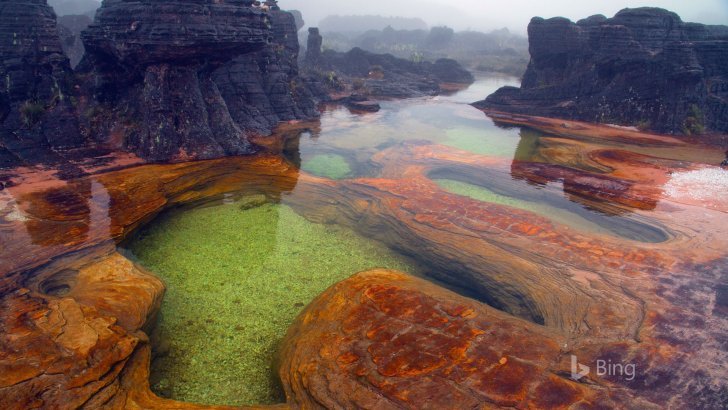 aguas-termales-monte-roraima-venezuela_742469935.jpg