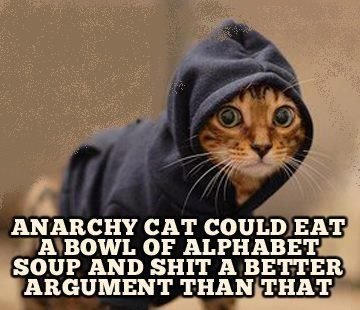 anarchycat.jpg