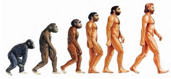 evolucion.jpg