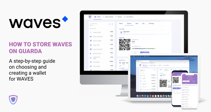 Waves_wallet-1.png