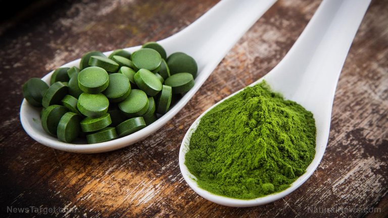 Young-Barley-Chlorella-Spirulina-Detox-Superfood.jpg