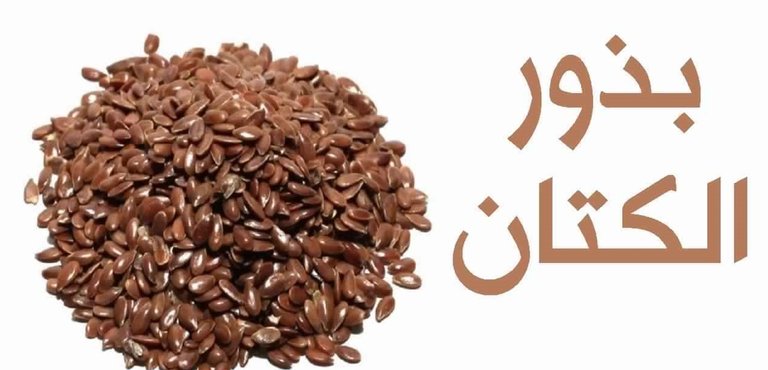 زريعة الكتان1.jpg