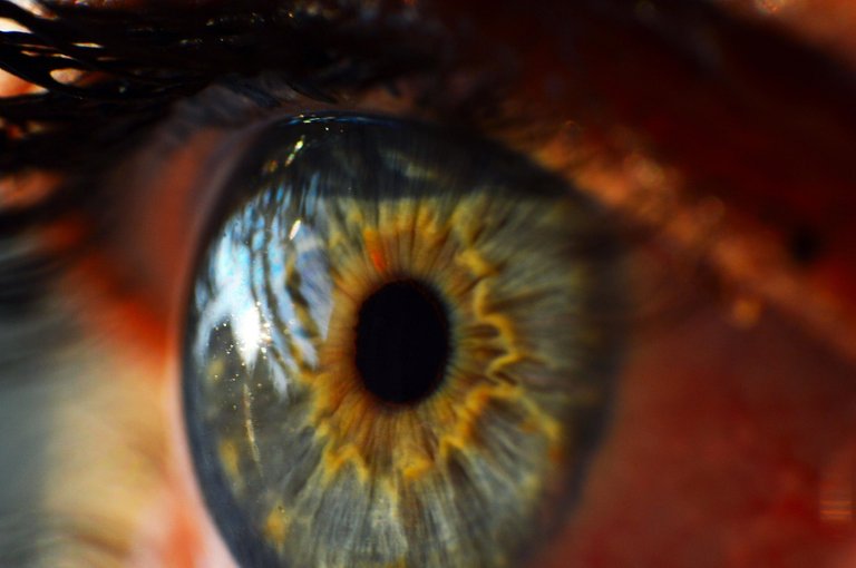 human-eye-995168_1920.jpg