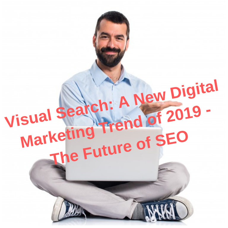 Visual Search_ A New Digital Marketing Trend of 2019 - The Future of SEO.png