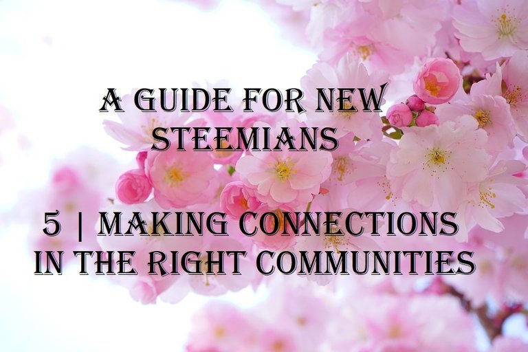 a guide for new steemians 5 making connections in the right communities.jpg