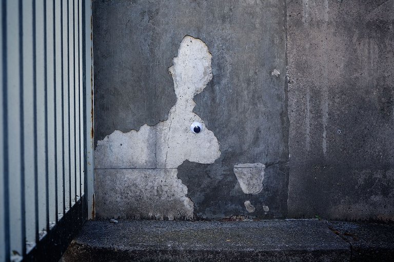 Follow the Googly Rabbit #GooglyEyes title-image eyebombing by @fraenk