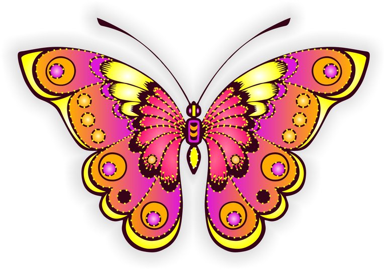 beautiful-butterfly-design-17200443.jpg