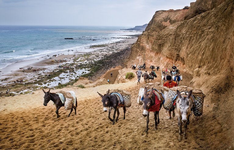 escasez-de-arena-saqueo-de-las-playas-3.jpg