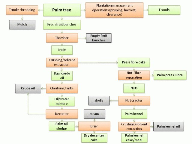 palm_oil_processing.jpg