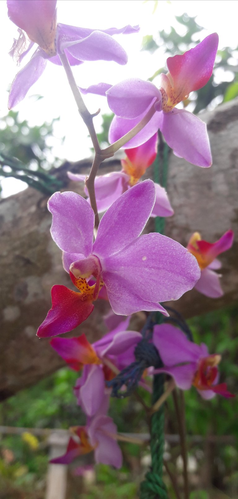 20180828_091931.jpg