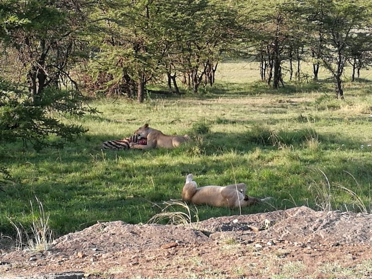 Maasai National Reserve34.jpg