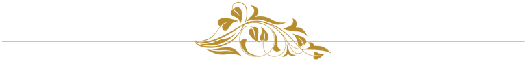 77096-263977-filigree-divider-middle-lg.png