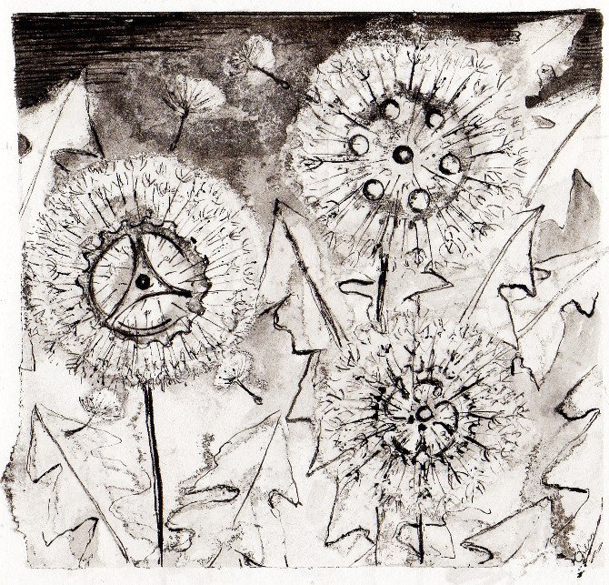 Dandelion ClocksM.jpg