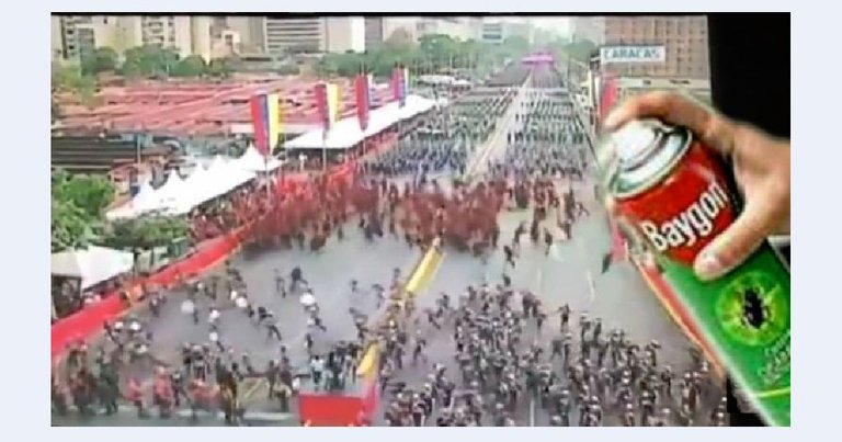 Momo-Maduro.jpg
