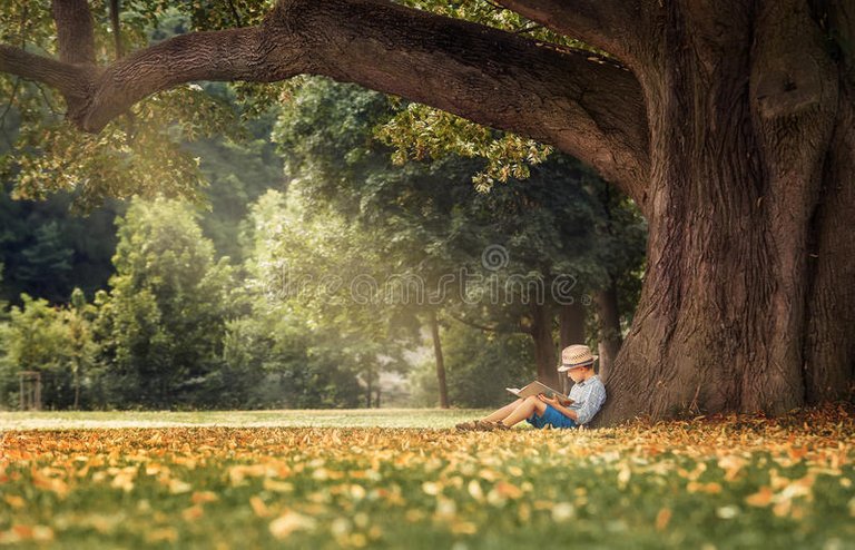 little-boy-reading-book-under-big-linden-tree-56765636.jpg