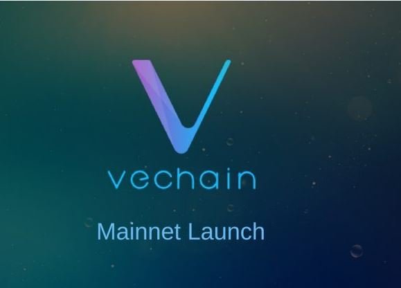 vechain.JPG