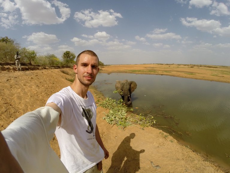 2.1 Poaching,feeding the injured female elephant Arthur Chad, 2017.jpg