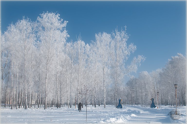 Зимний парк.jpg