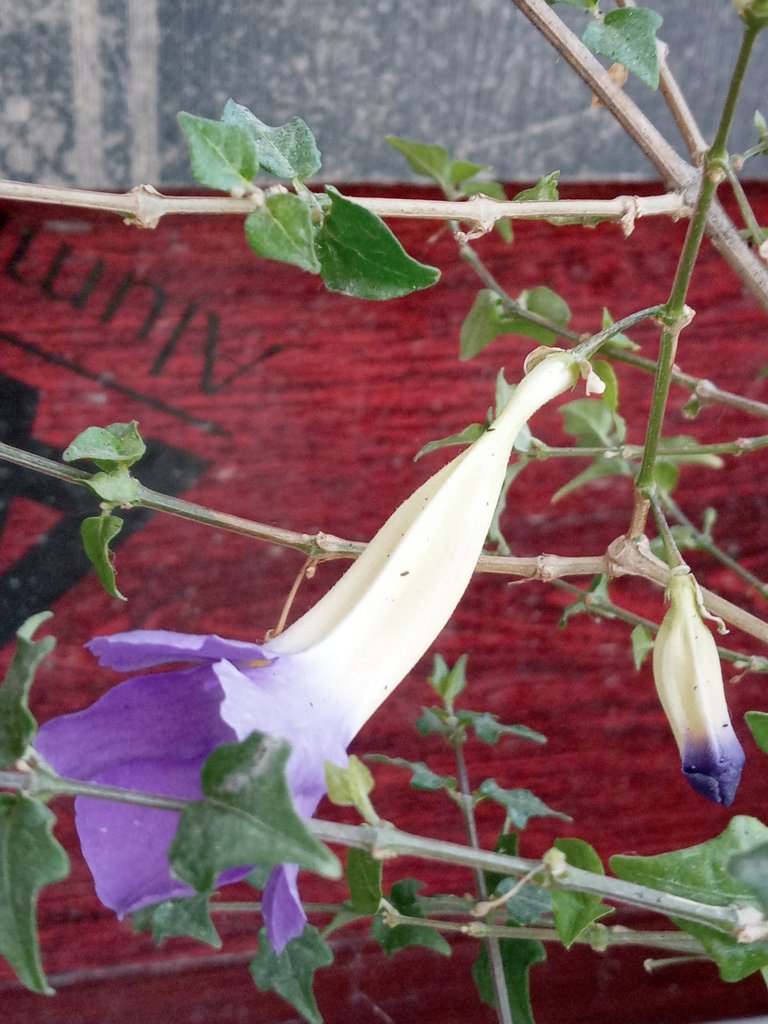 20220220_174011_HDR.jpg