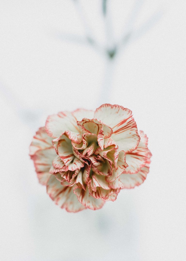 tanalee-youngblood-341634-unsplash.jpg