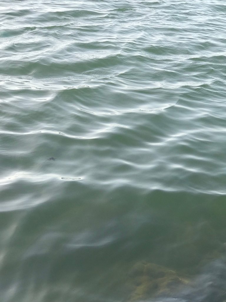 2031740D-4EB5-49CA-80EE-0C5F7FFBD721.jpeg