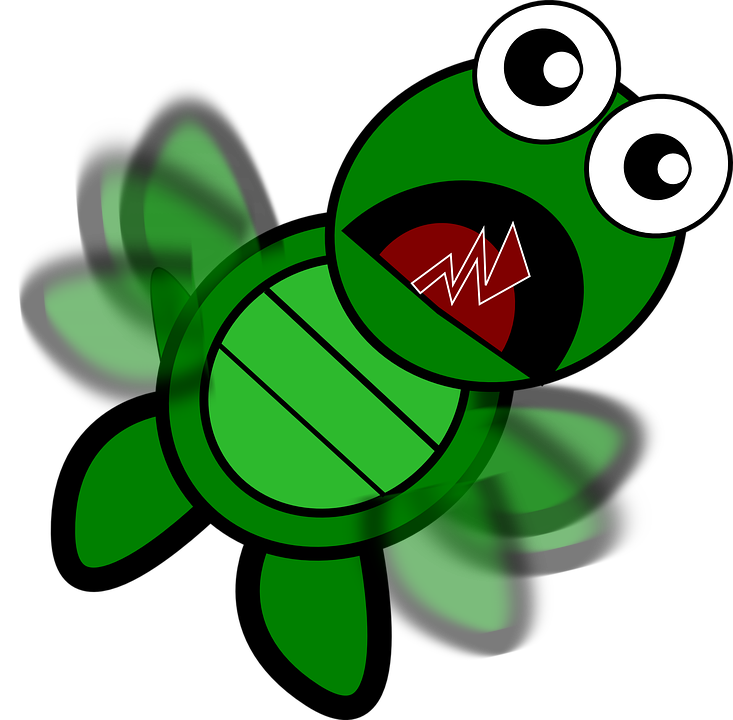 turtle-152080_960_720.png