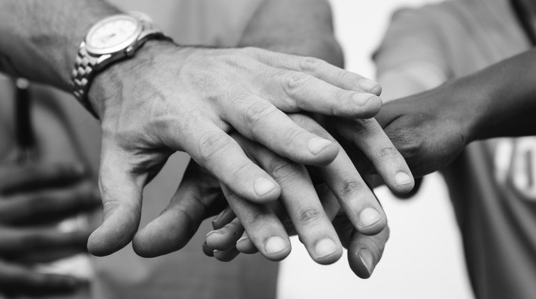 black-and-white-close-up-fingers-1083628.jpg