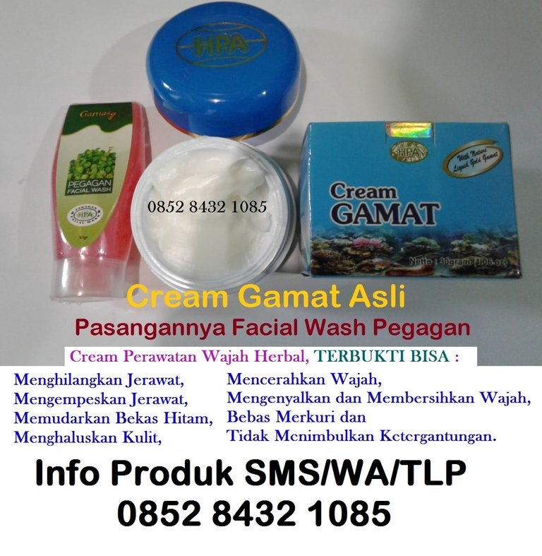 cream gamat perawatan no hp.jpg