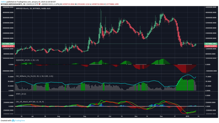 XRP Shorts.png