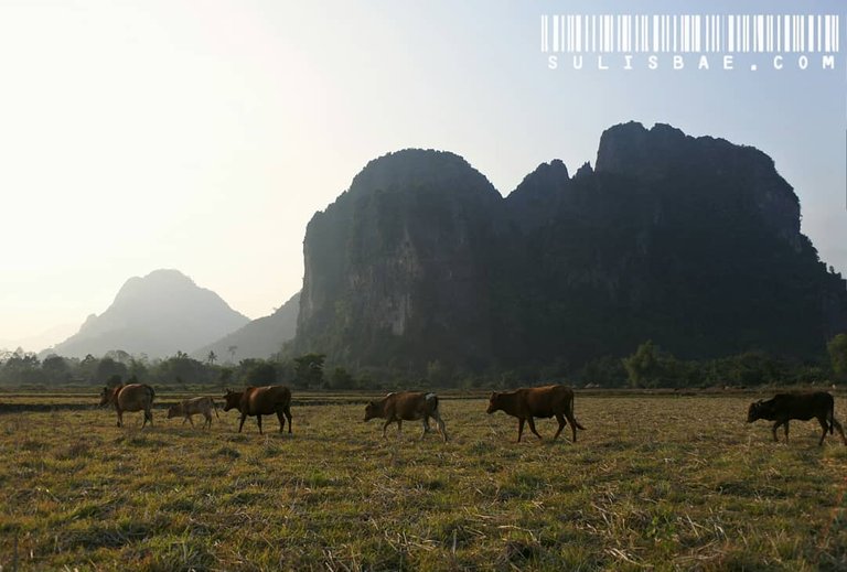 vangvieng1.jpg