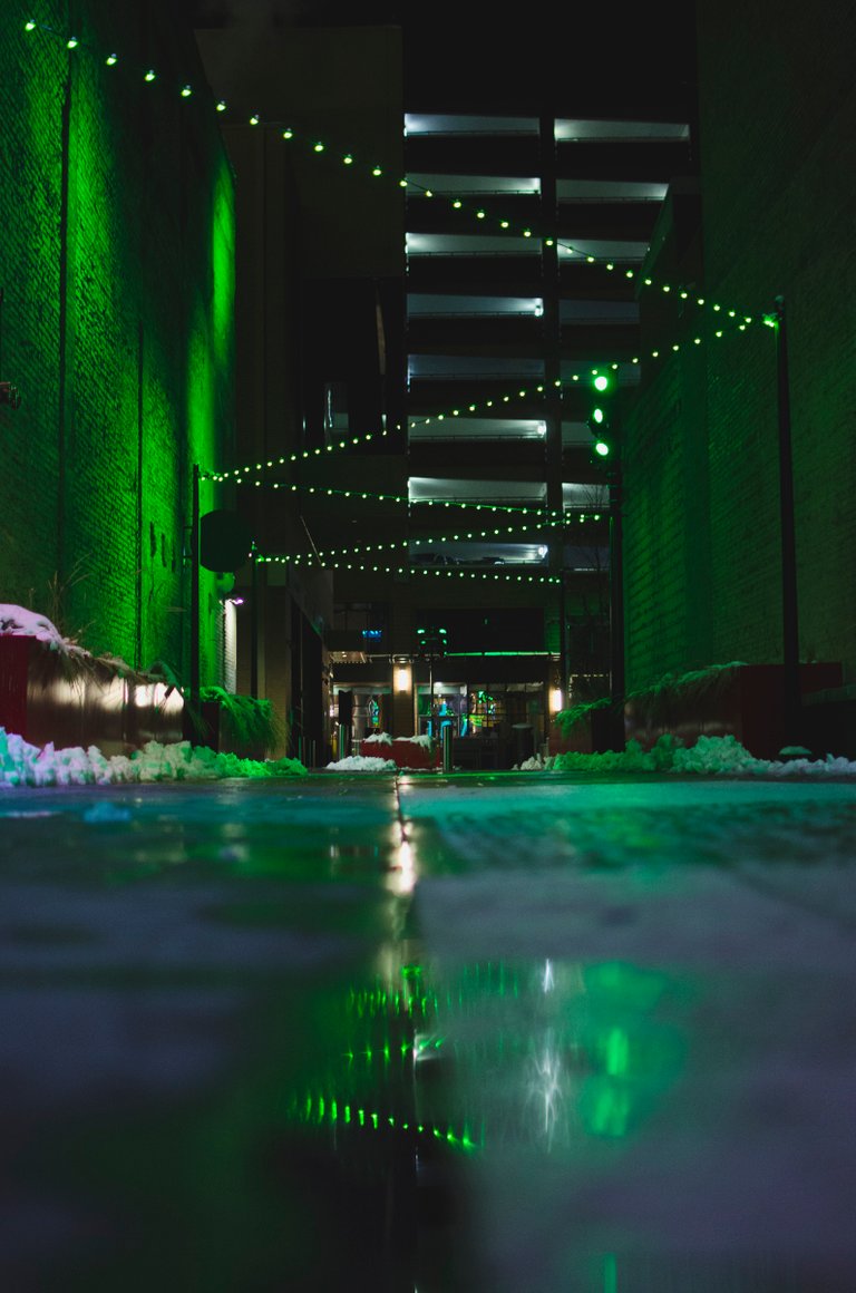 The green glowing lights in the wet alley.JPG