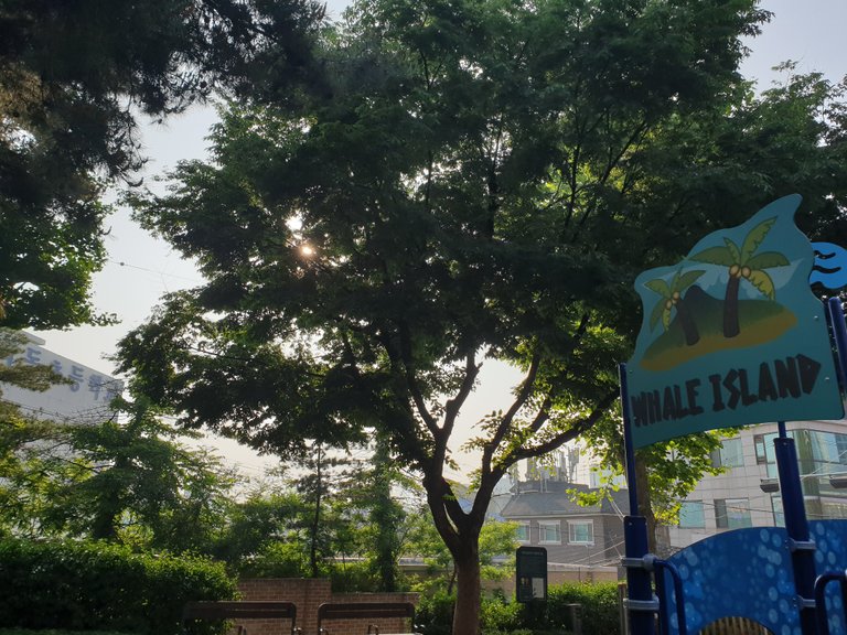 20190516_073130.jpg