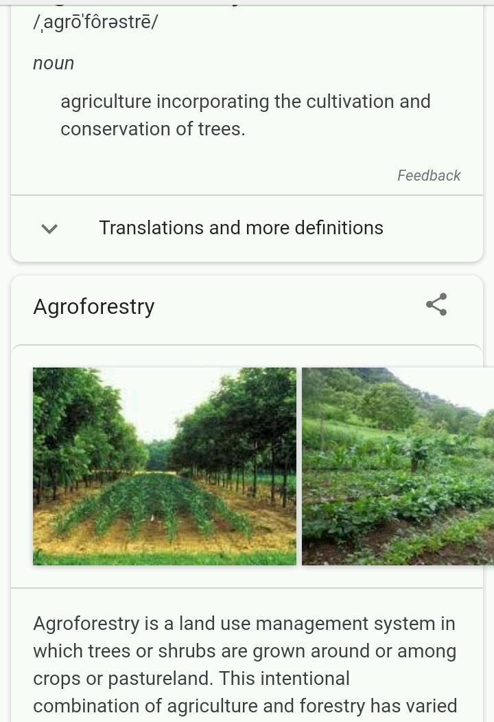 agroforestry.jpg