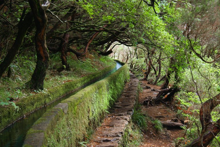 Levada_Madeira.jpg