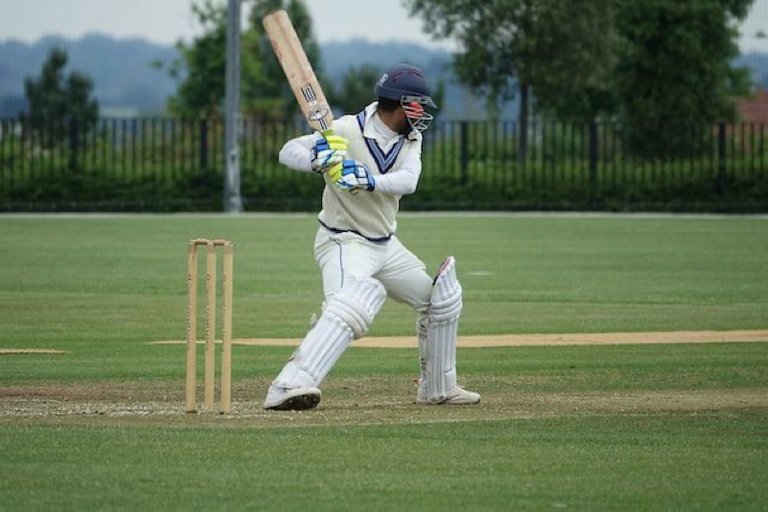 cricket2.jpg