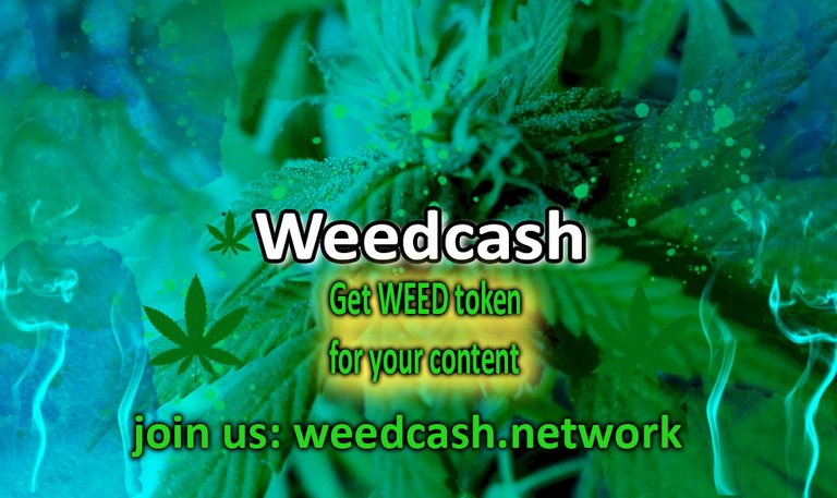 weedcash firsft2dewdewde.jpg