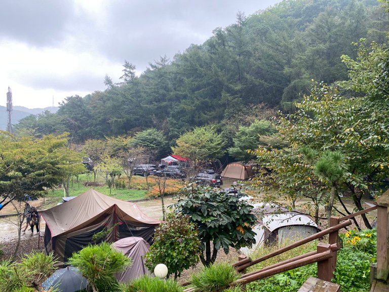 1C3009C6-4DC5-452C-89B4-6930D98624AB.jpeg