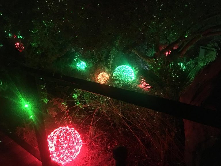 Los Angeles Zoo Christmas Lights, LA Zoo LIghts (8).jpg