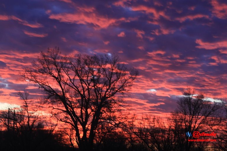 morning dawn sunrise golden-hour skyscape landscape IMG_0329.JPG