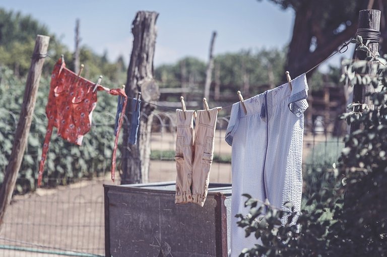 clothesline-2556058_960_720.jpg