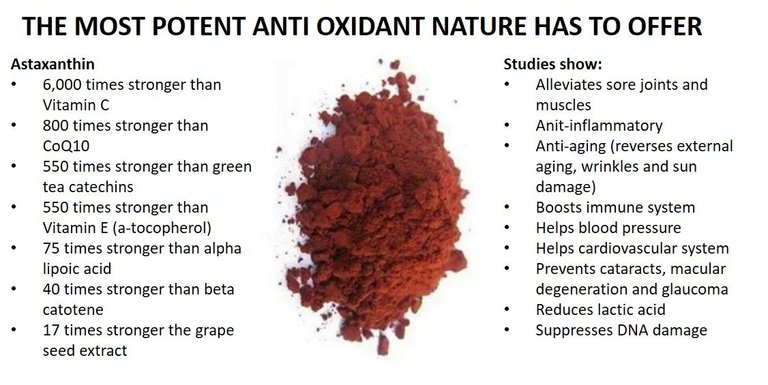 Astaxanthin14.jpg