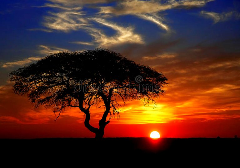 african-sunset-15498500.jpg