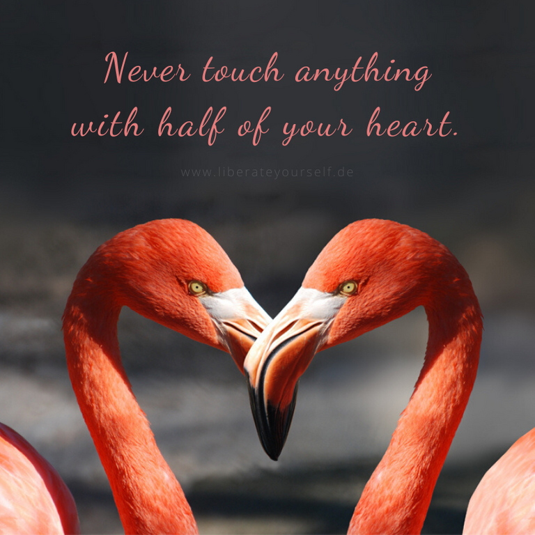 _Never touch anything with half of your heart.png