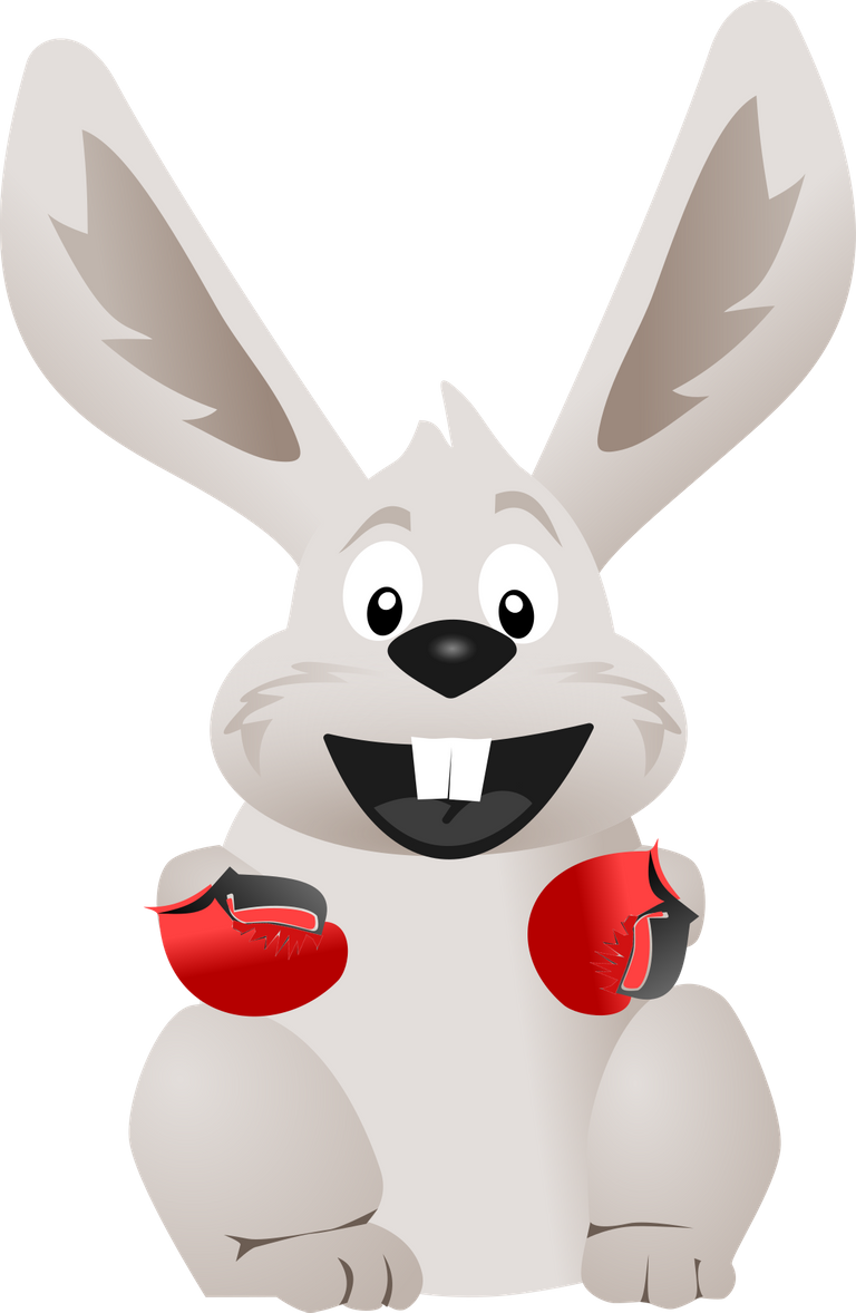 conejo-boxeador.png