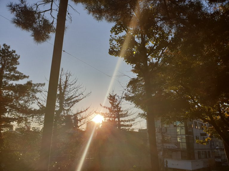 20181101_073753.jpg