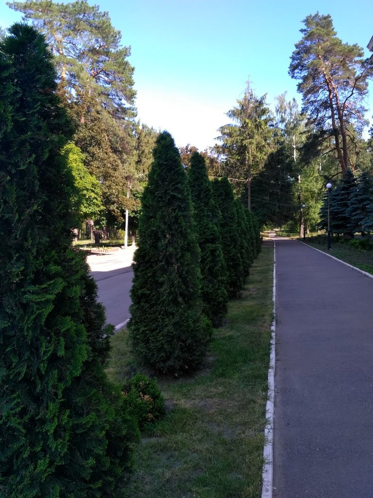 IMG_20180602_161805_HDR.jpg