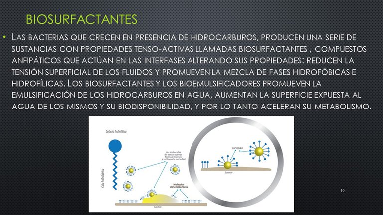 Diapositiva10.JPG